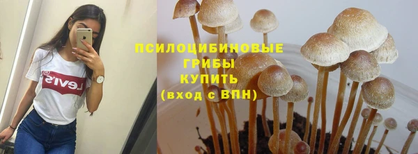 твердый Абдулино