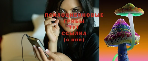 твердый Абдулино