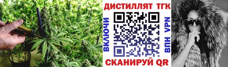 Дистиллят ТГК Wax  Александров 