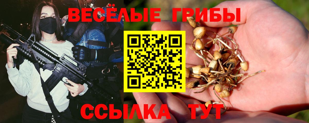 Галлюциногенные грибы Psilocybe Александров