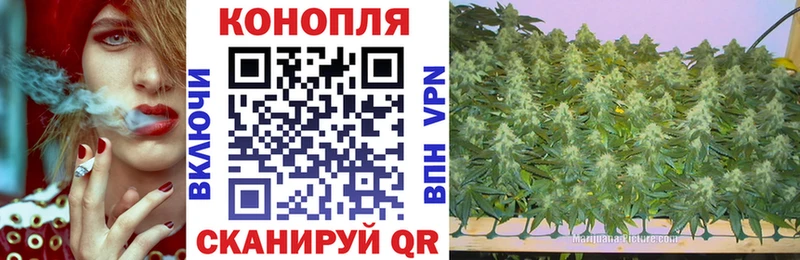 МАРИХУАНА планчик  ОМГ ОМГ маркетплейс  Александров 